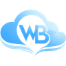 White Light Blue Skies logo